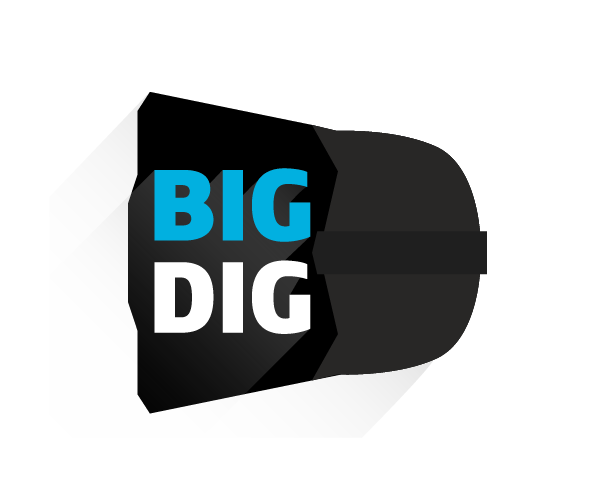 Big Digital LLC